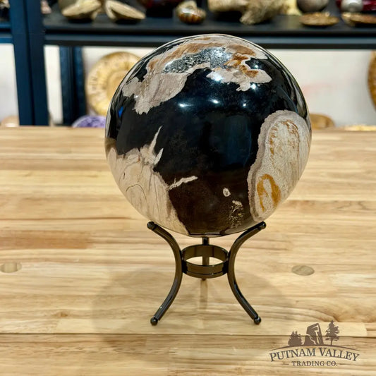 Hand-Carved Indonesian Petrified Wood Sphere 5.8’’ Sphere