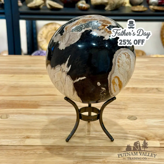 Hand-Carved Indonesian Petrified Wood Sphere 5.8’’ Sphere