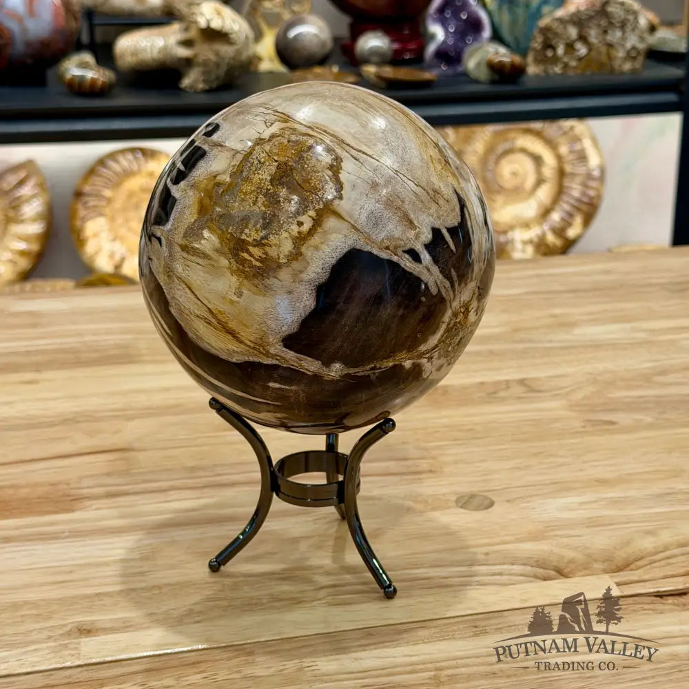 Hand-carved Indonesian Petrified Wood Sphere 5.9’’ Sphere