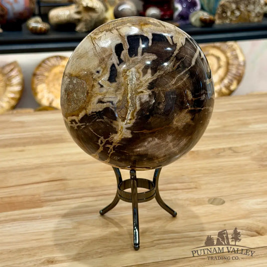 Hand-carved Indonesian Petrified Wood Sphere 5.9’’ Sphere
