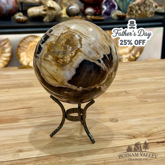 Hand-carved Indonesian Petrified Wood Sphere 5.9’’ Sphere