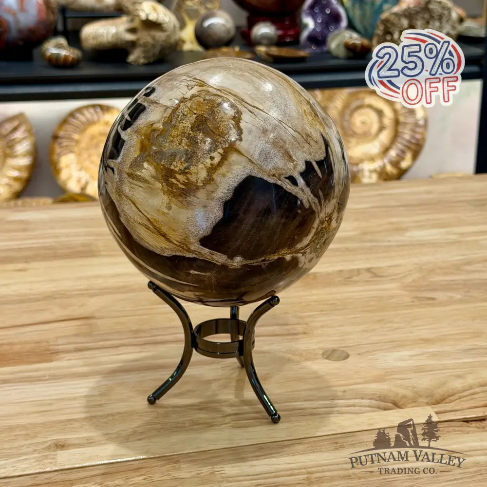 Hand-carved Indonesian Petrified Wood Sphere 5.9’’ Sphere