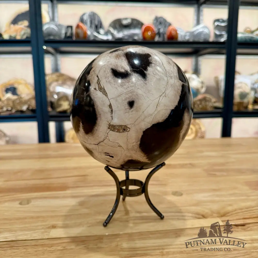 Hand-Carved Indonesian Petrified Wood Sphere 6.4’’ Sphere
