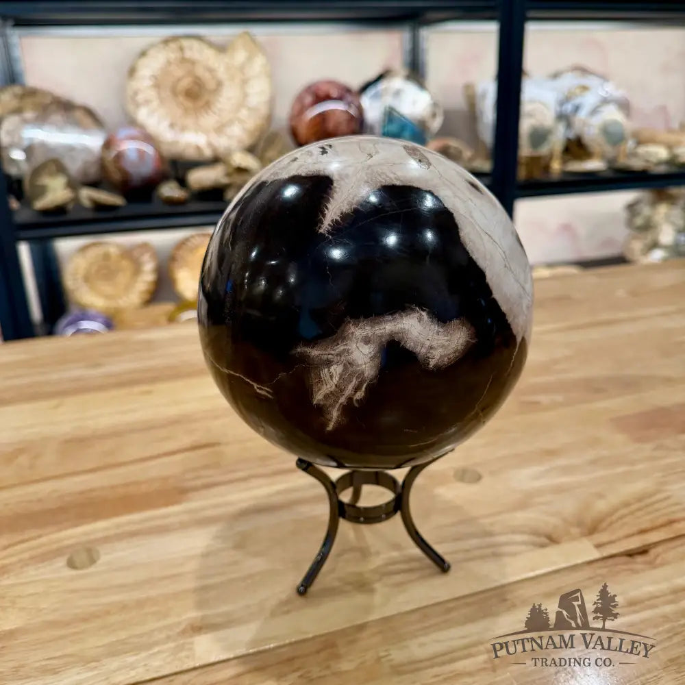 Hand-Carved Indonesian Petrified Wood Sphere 6.4’’ Sphere
