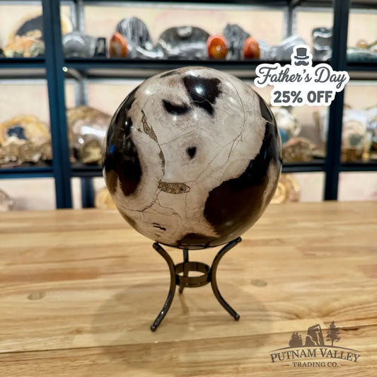 Hand-Carved Indonesian Petrified Wood Sphere 6.4’’ Sphere