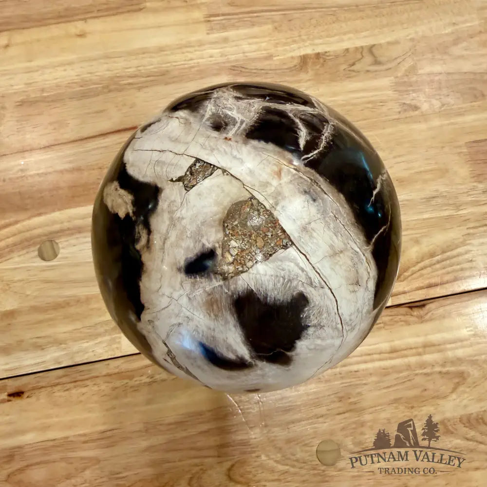 Hand-Carved Indonesian Petrified Wood Sphere 6.4’’ Sphere