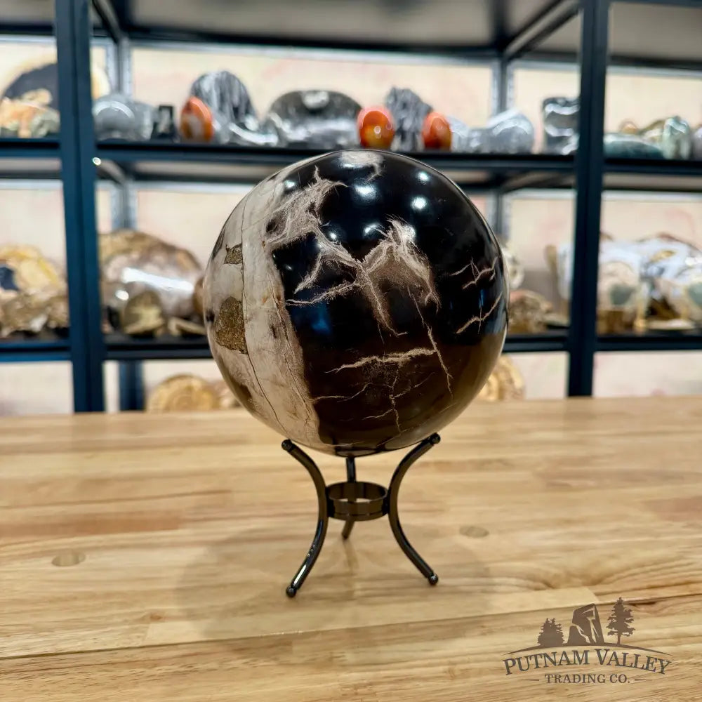Hand-Carved Indonesian Petrified Wood Sphere 6.4’’ Sphere