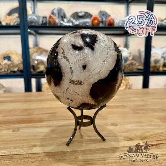 Hand-Carved Indonesian Petrified Wood Sphere 6.4’’ Sphere