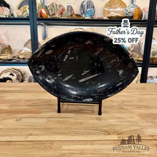 Hand-Carved Orthoceras Fossil Bowl 14.75’’ - Fossil Bowl