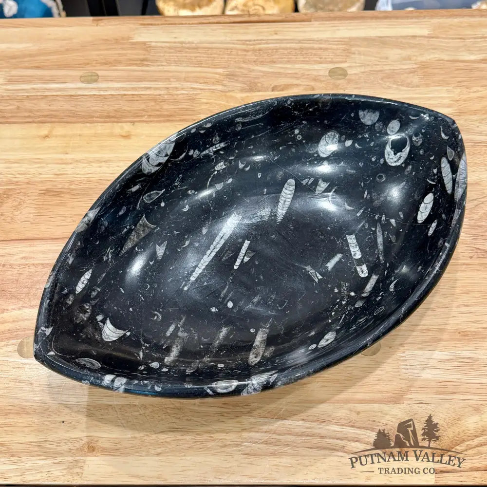 Hand-Carved Orthoceras Fossil Bowl 14.75’’ - Fossil Bowl