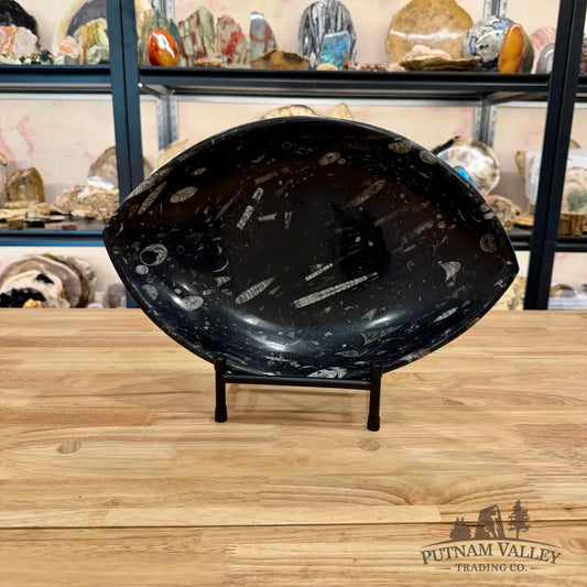 Hand-Carved Orthoceras Fossil Bowl 14.75’’ - Fossil Bowl