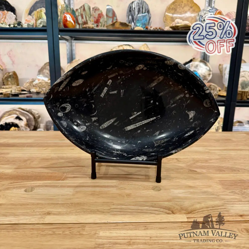 Hand-Carved Orthoceras Fossil Bowl 14.75’’ - Fossil Bowl