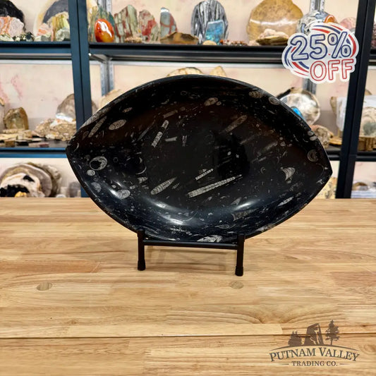Hand-Carved Orthoceras Fossil Bowl 14.75’’ - Fossil Bowl