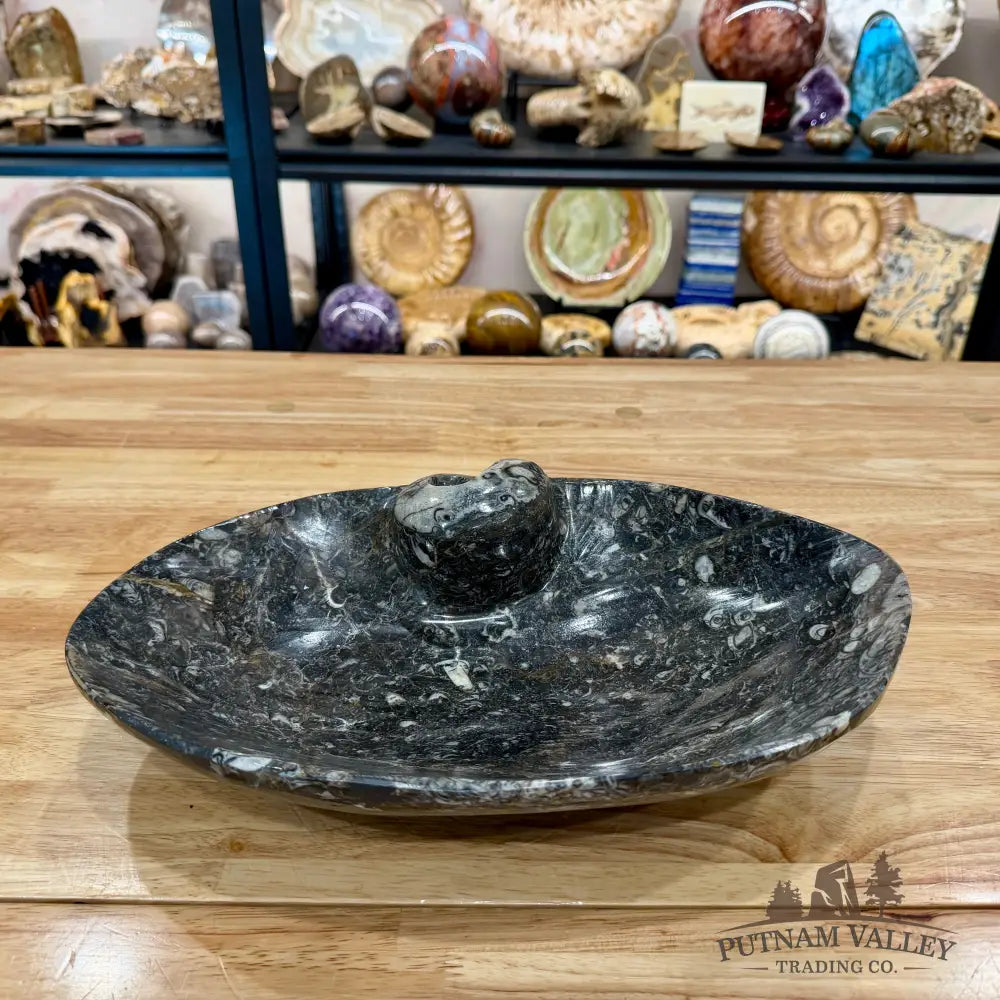 Hand-Carved Rustic Orthoceras Fossil Bowl 13.5’’ - Fossil Bowl