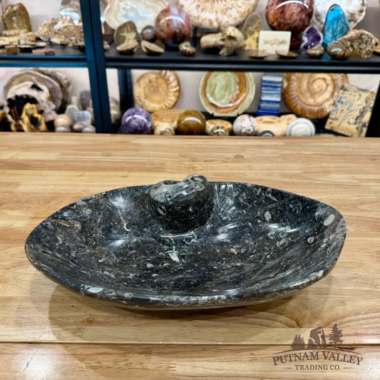Hand-Carved Rustic Orthoceras Fossil Bowl 13.5’’ - Fossil Bowl