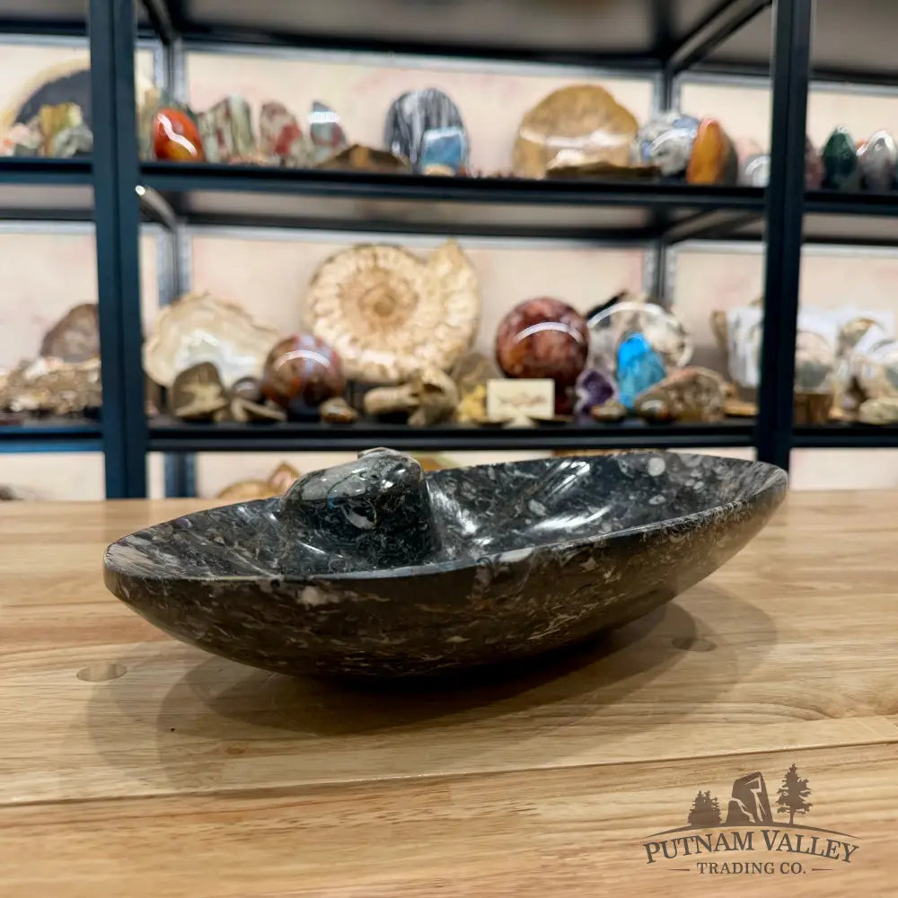 Hand-Carved Rustic Orthoceras Fossil Bowl 13.5’’ - Fossil Bowl
