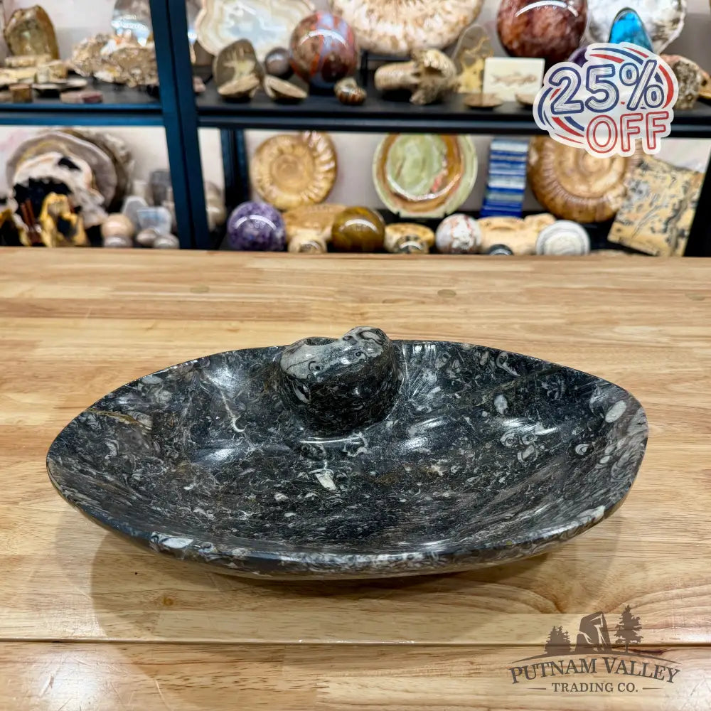 Hand-Carved Rustic Orthoceras Fossil Bowl 13.5’’ - Fossil Bowl