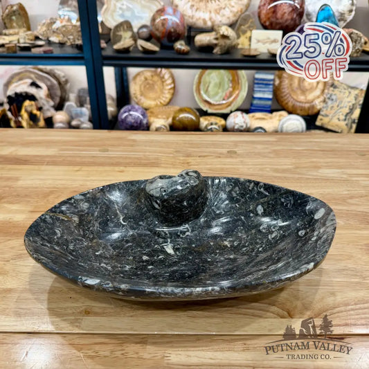 Hand-Carved Rustic Orthoceras Fossil Bowl 13.5’’ - Fossil Bowl