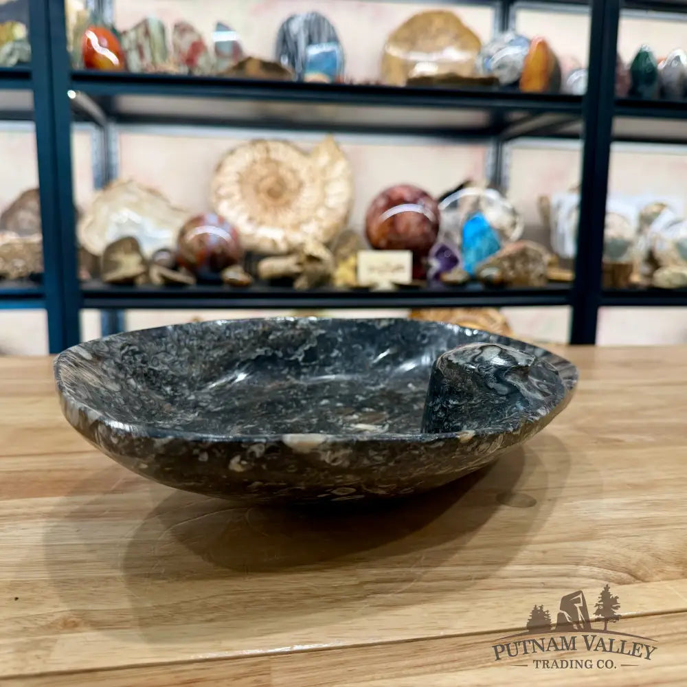Hand-Carved Rustic Orthoceras Fossil Bowl 13.5’’ - Fossil Bowl