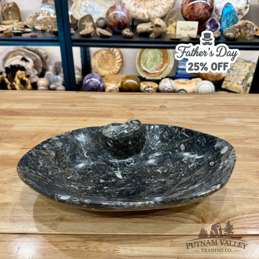 Hand-Carved Rustic Orthoceras Fossil Bowl 13.5’’ - Fossil Bowl