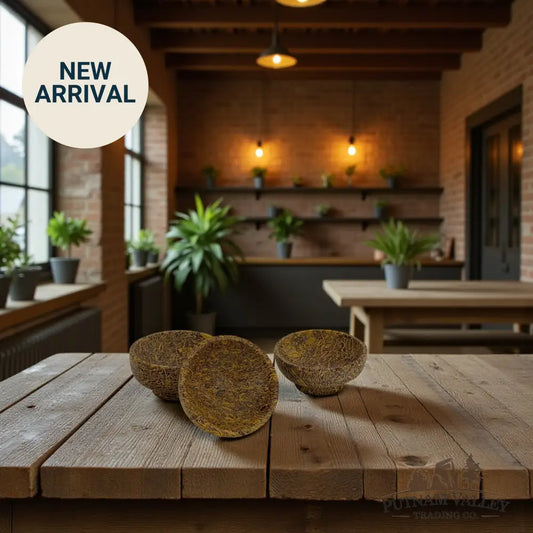 Stone Bowls 2.6’’ Coquina Jasper Bowl