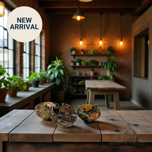 Stone Bowl 3’’ Money Agate Bowl