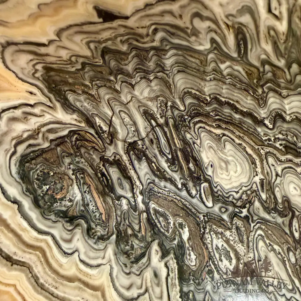 Handcrafted Mexican Zebra Onyx Bowl Bowl