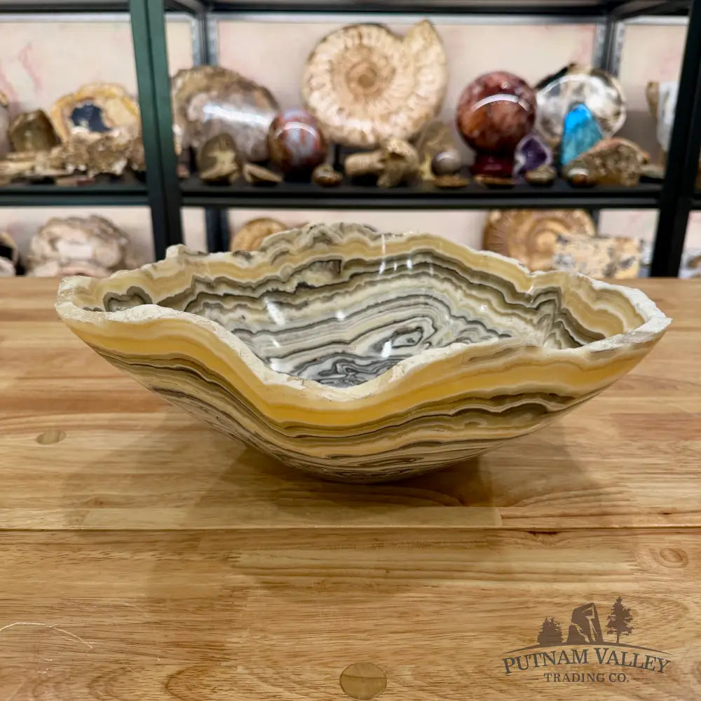 Mexican Zebra Onyx Bowl 12.5’’ Bowl