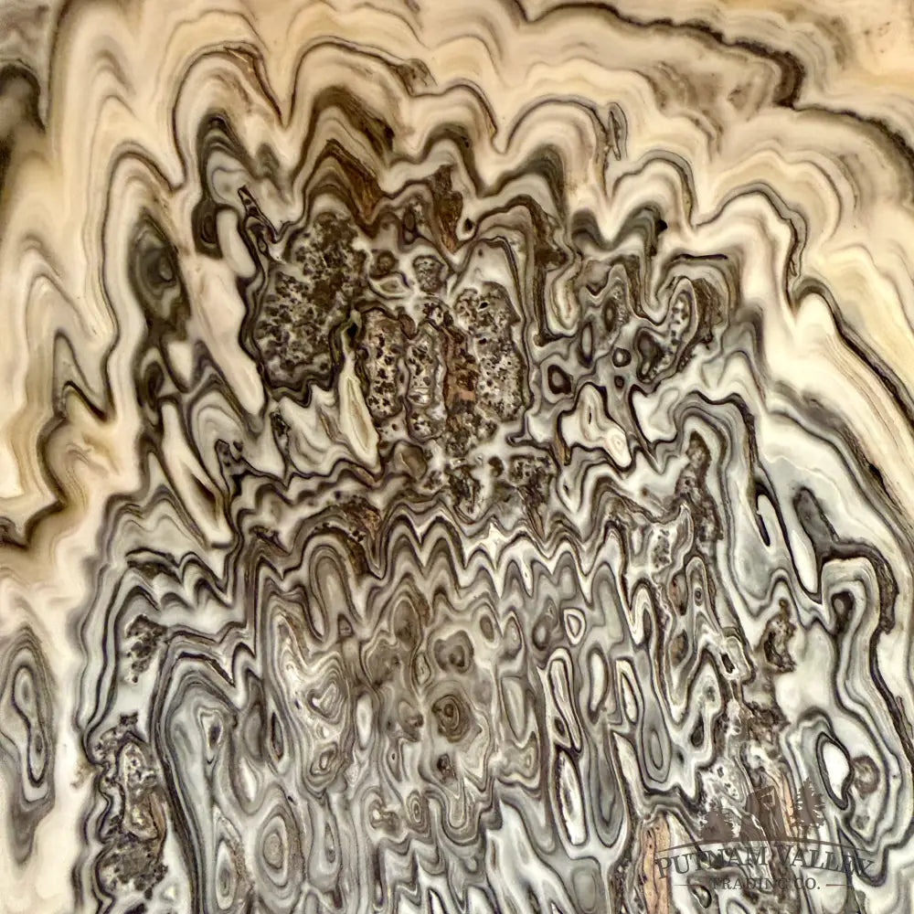 Mexican Zebra Onyx Bowl 12.5’’ Bowl