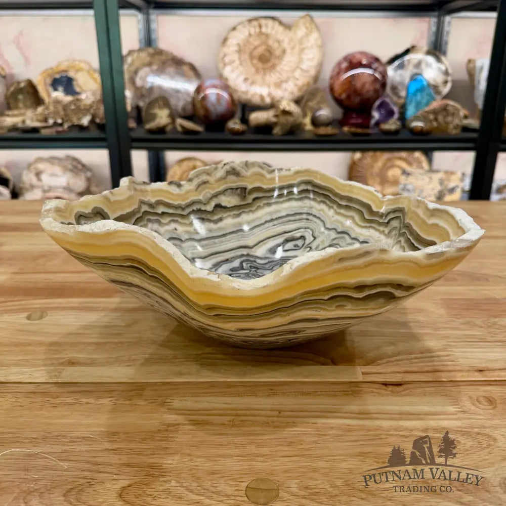 Mexican Zebra Onyx Bowl 12.5’’ Bowl