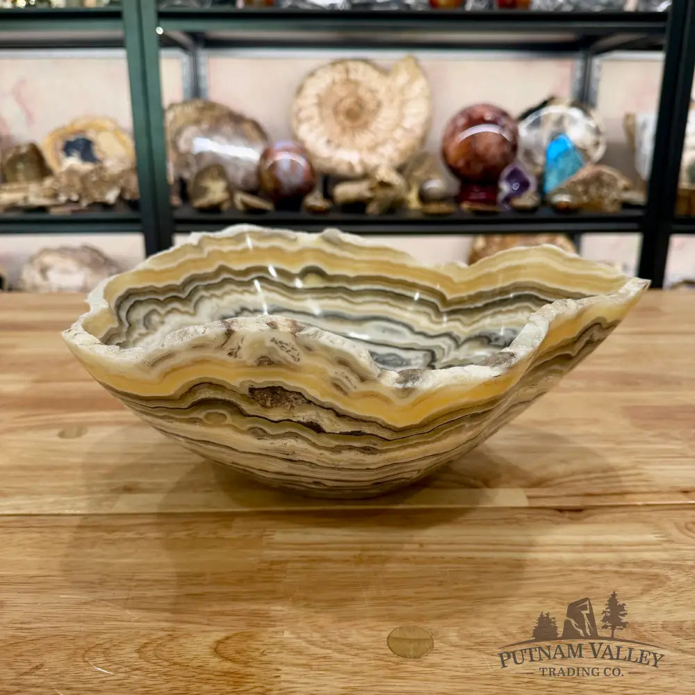 Mexican Zebra Onyx Bowl 12.5’’ Bowl