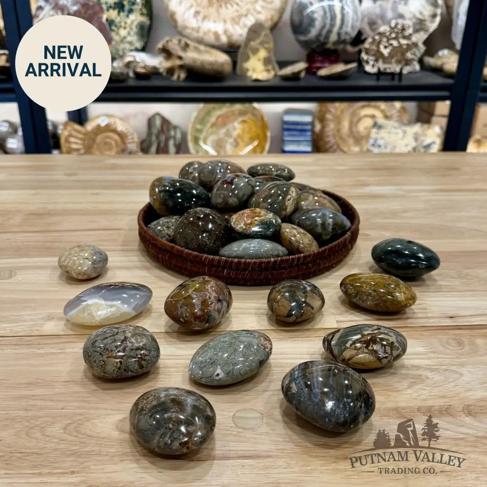 Polished Ibis Jasper Stones (1 lb) | Madagascar - Tumbled Stone