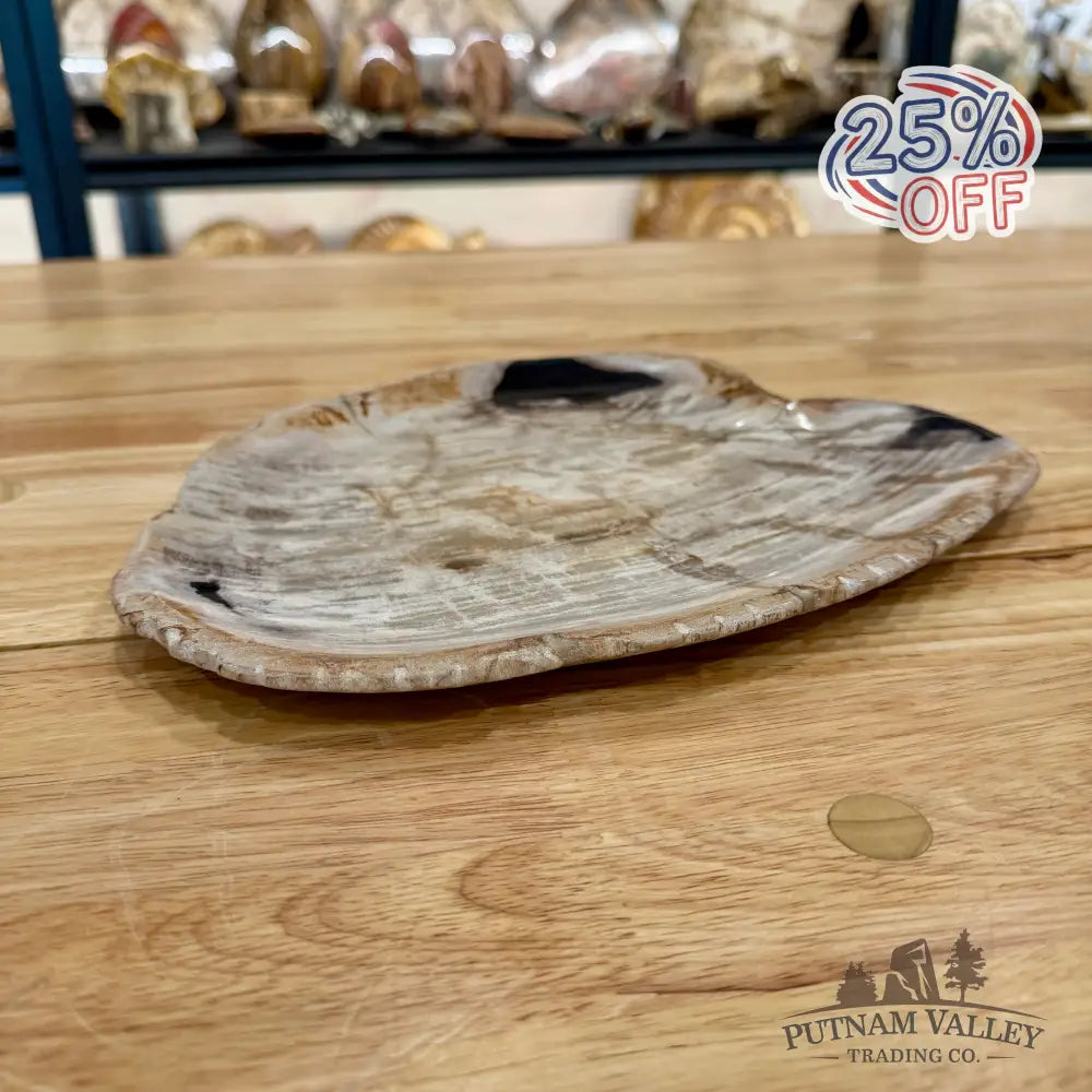 Indonesian Petrified Wood Plate 10.75’’ Plate
