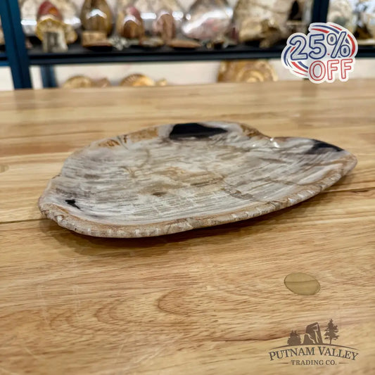 Indonesian Petrified Wood Plate 10.75’’ Plate