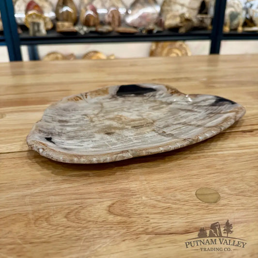 Indonesian Petrified Wood Plate 10.75’’ Plate