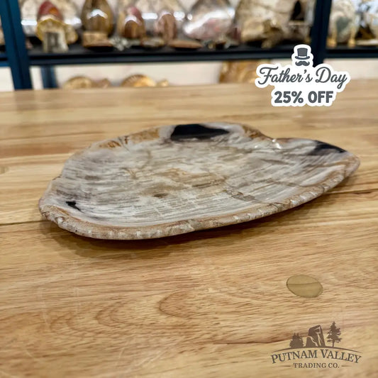 Indonesian Petrified Wood Plate 10.75’’ Plate