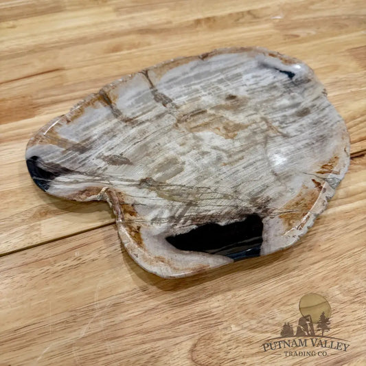 Indonesian Petrified Wood Plate 10.75’’ Plate