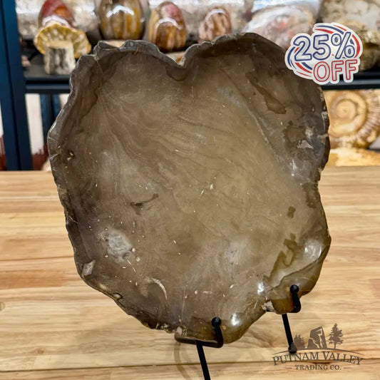 Indonesian Petrified Wood Plate 12’’ Plate