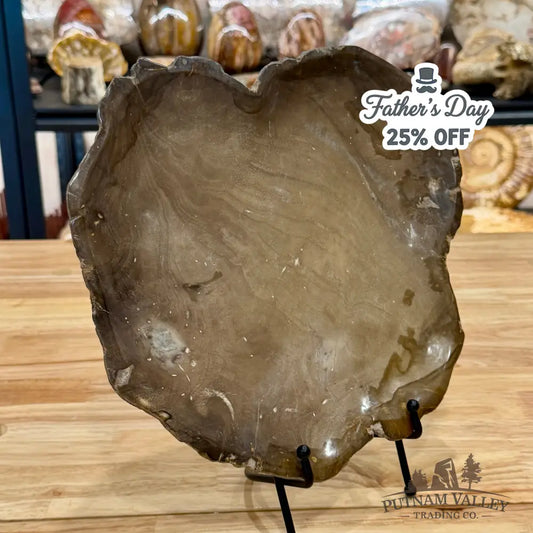 Indonesian Petrified Wood Plate 12’’ Plate