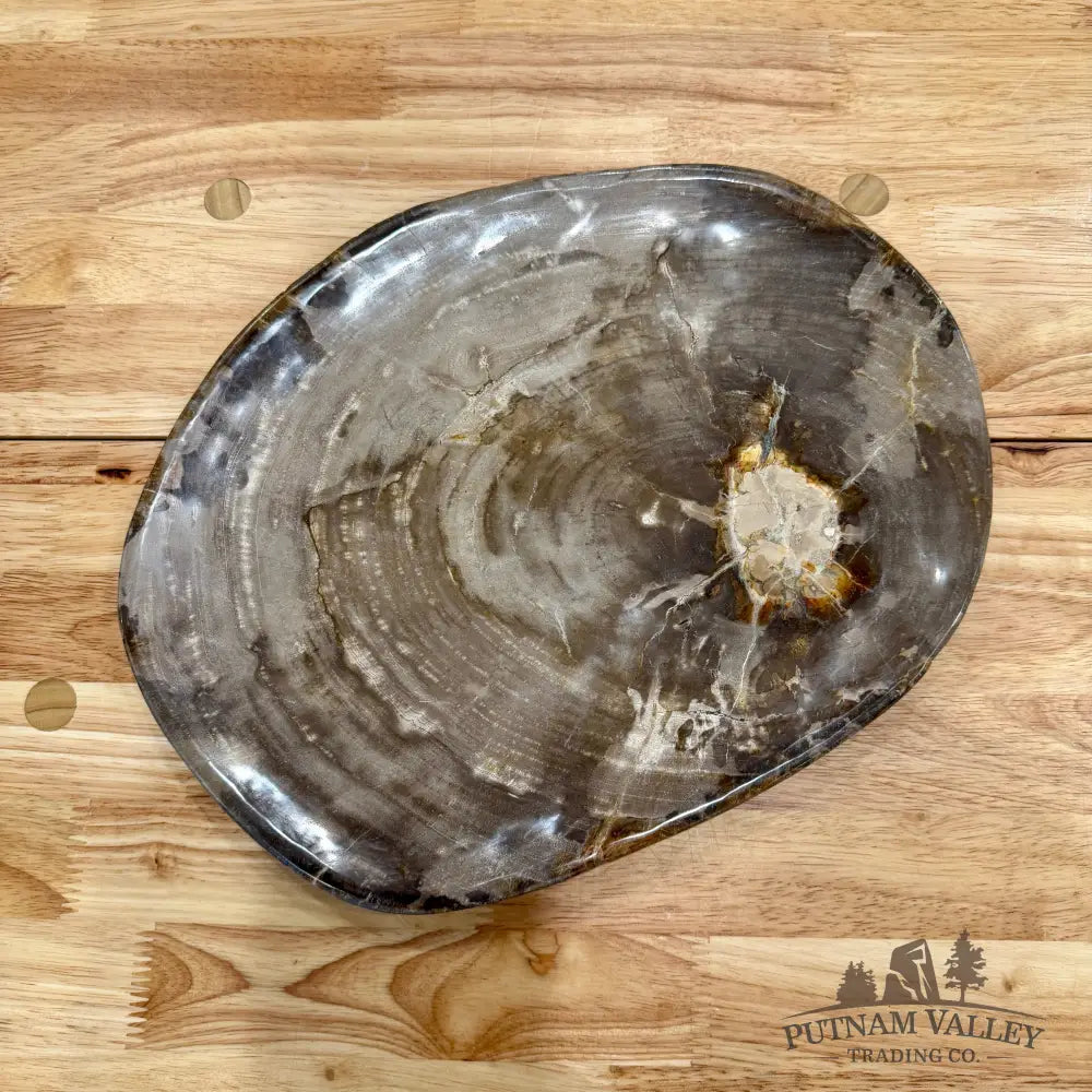 Indonesian Petrified Wood Plate 12.5’’ Plate