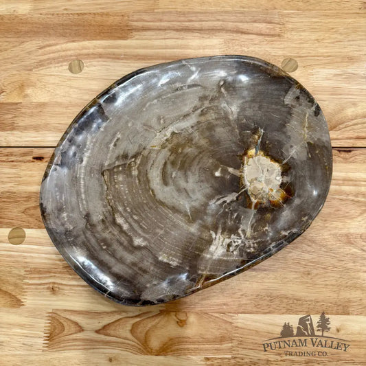 Indonesian Petrified Wood Plate 12.5’’ Plate
