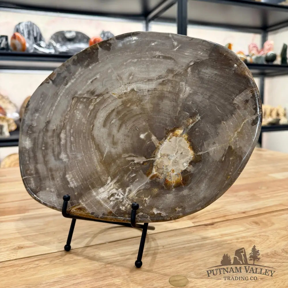 Indonesian Petrified Wood Plate 12.5’’ Plate