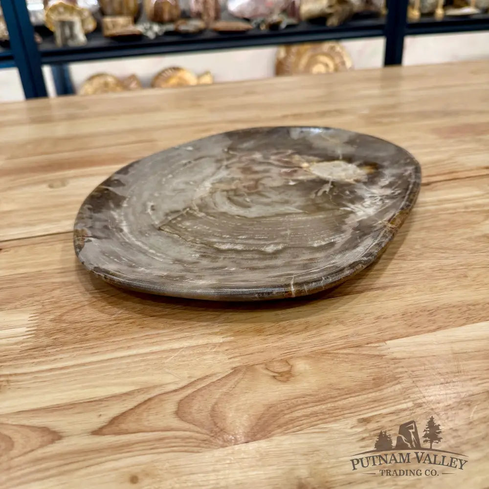 Indonesian Petrified Wood Plate 12.5’’ Plate