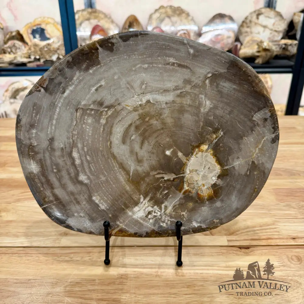 Indonesian Petrified Wood Plate 12.5’’ Plate