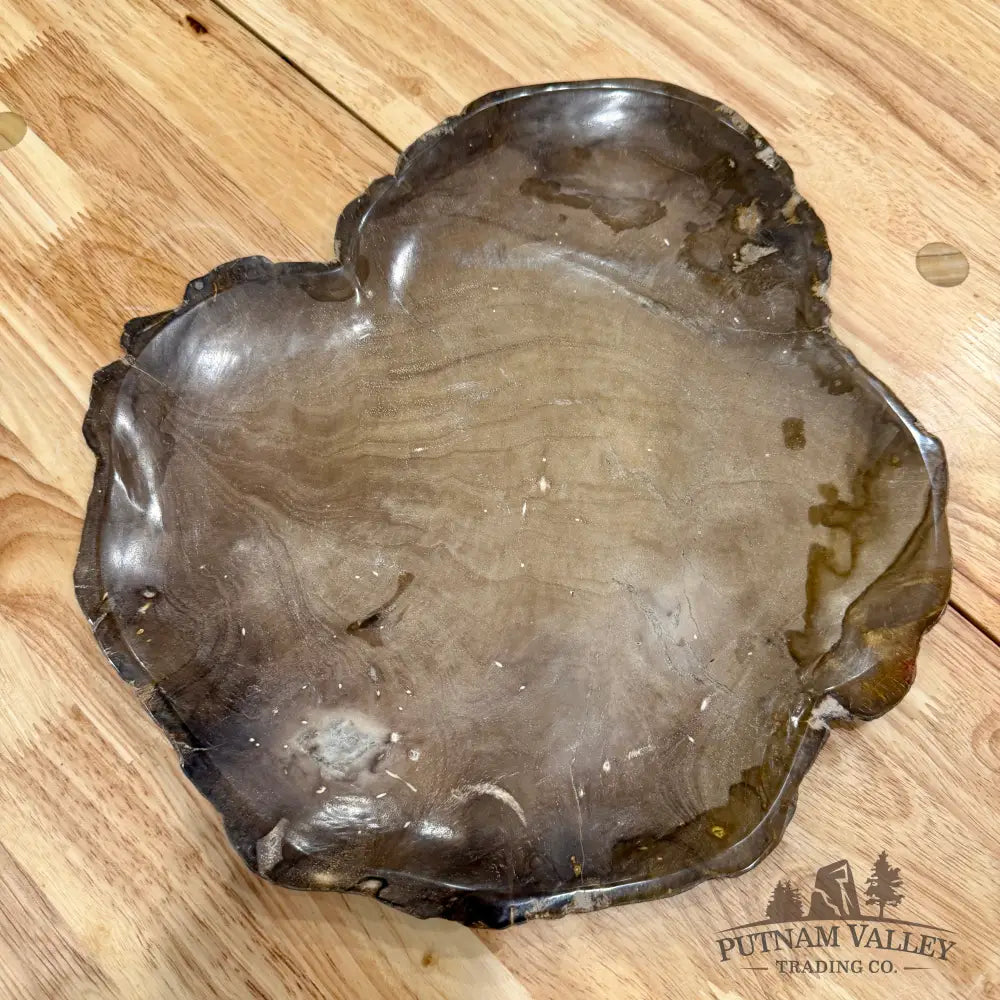 Indonesian Petrified Wood Plate 12’’ Plate