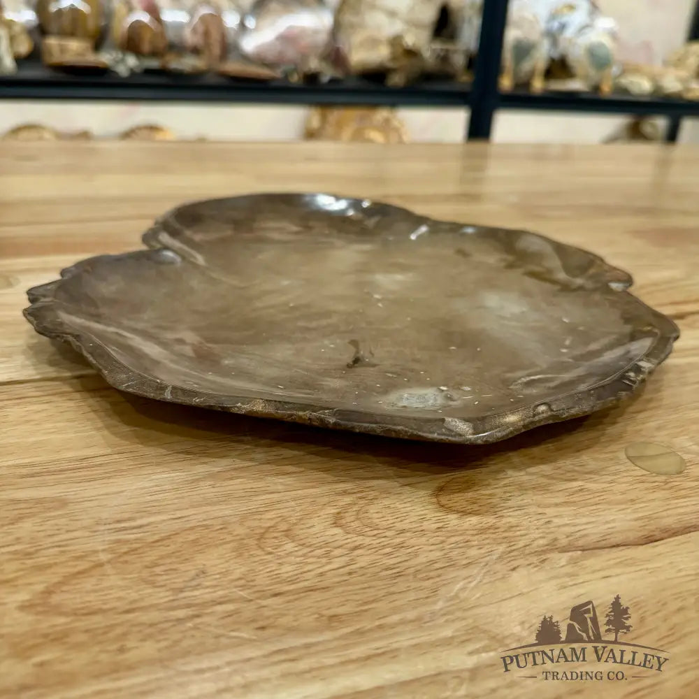 Indonesian Petrified Wood Plate 12’’ Plate