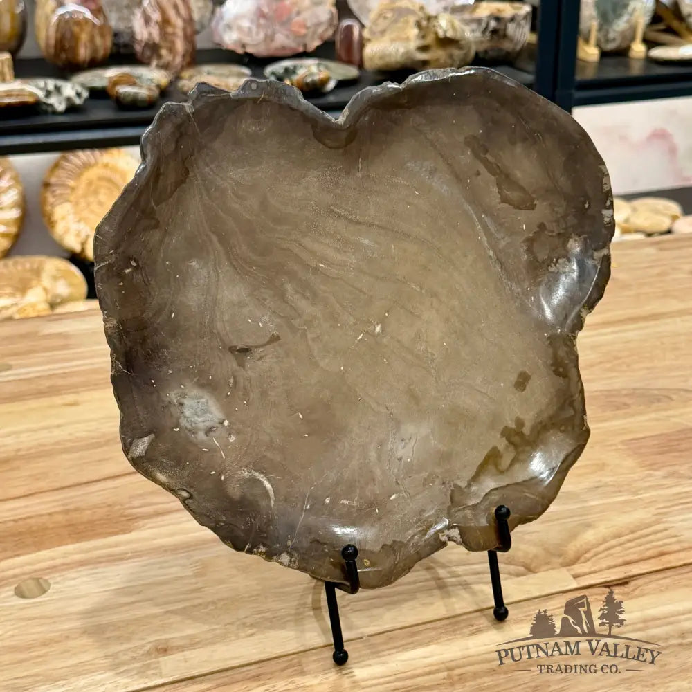 Indonesian Petrified Wood Plate 12’’ Plate