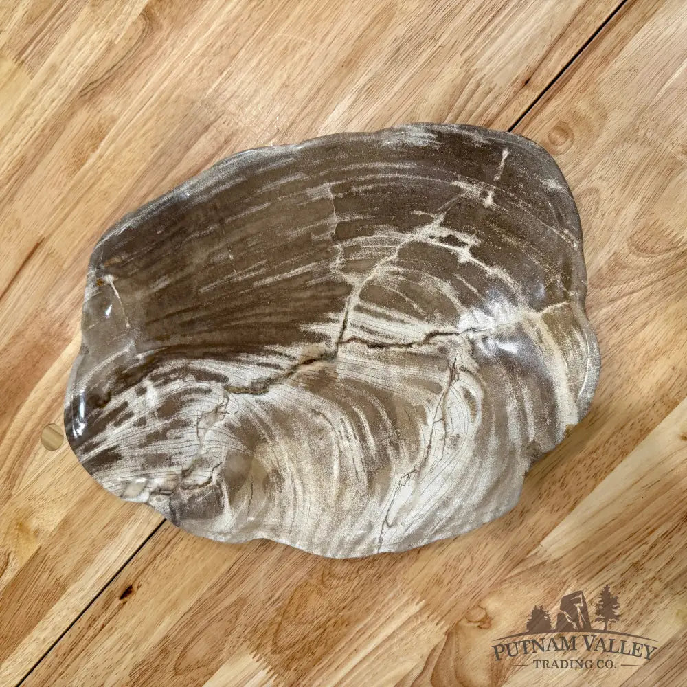 Indonesian Petrified Wood Plate 13.75’’ Plate