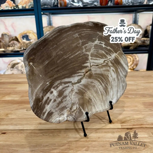 Indonesian Petrified Wood Plate 13.75’’ Plate