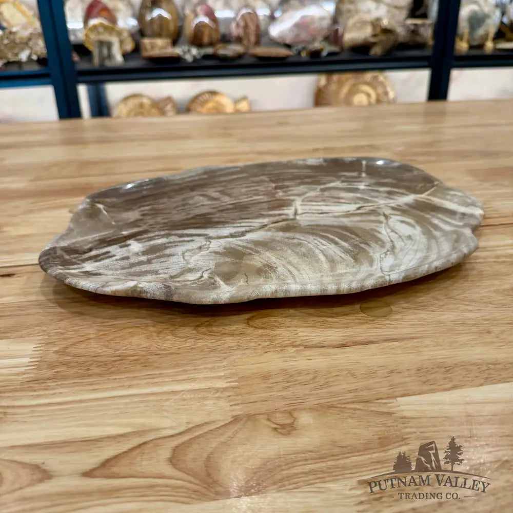 Indonesian Petrified Wood Plate 13.75’’ Plate